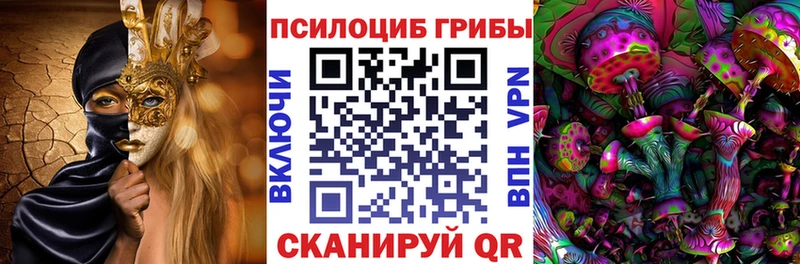 купить наркотики цена  Салаир  Псилоцибиновые грибы мицелий 